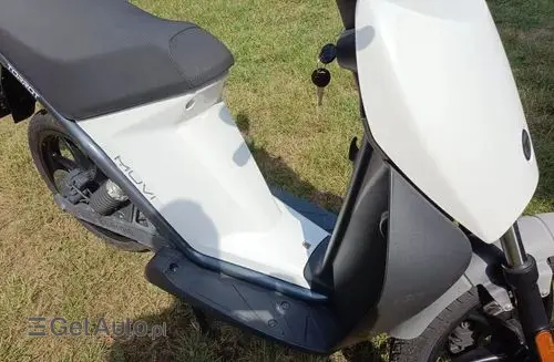 TORROT Inny 