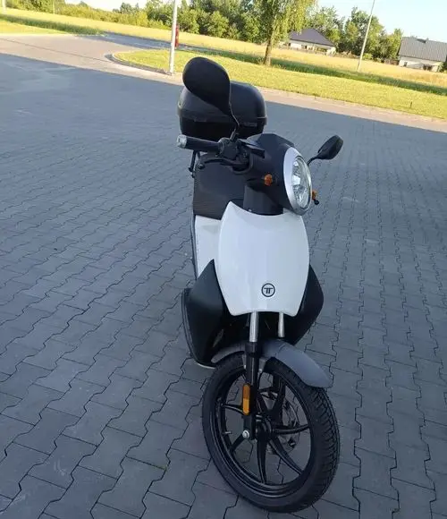 TORROT Inny 
