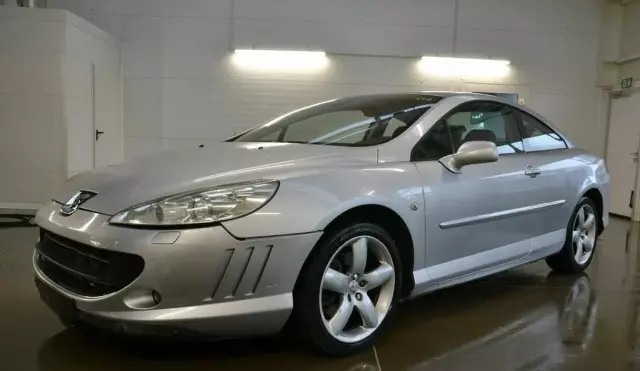 PEUGEOT 407 