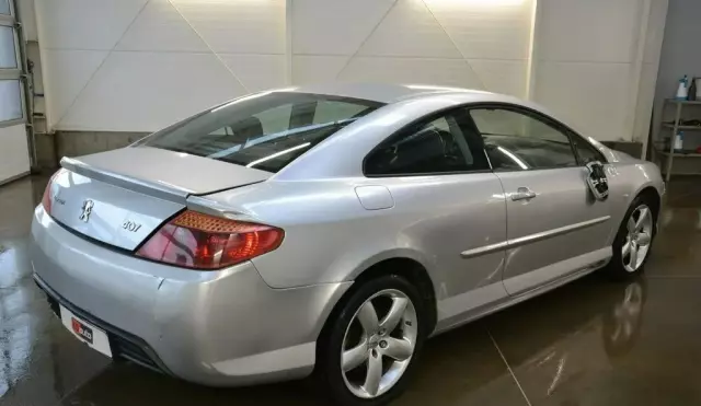PEUGEOT 407 
