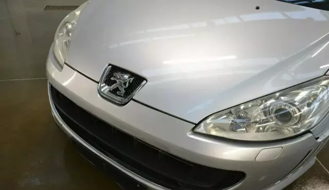 PEUGEOT 407 