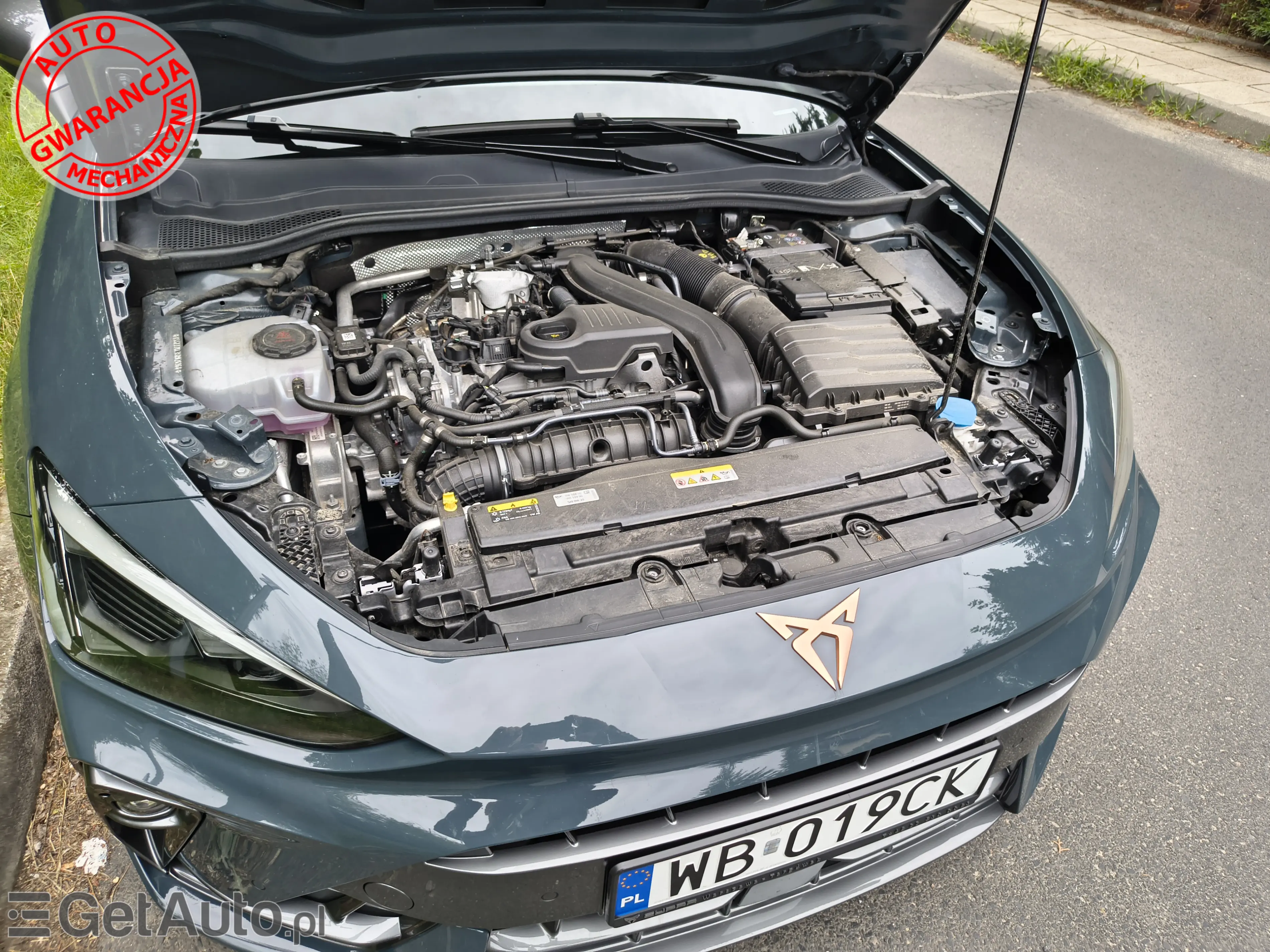 CUPRA CUPRA 