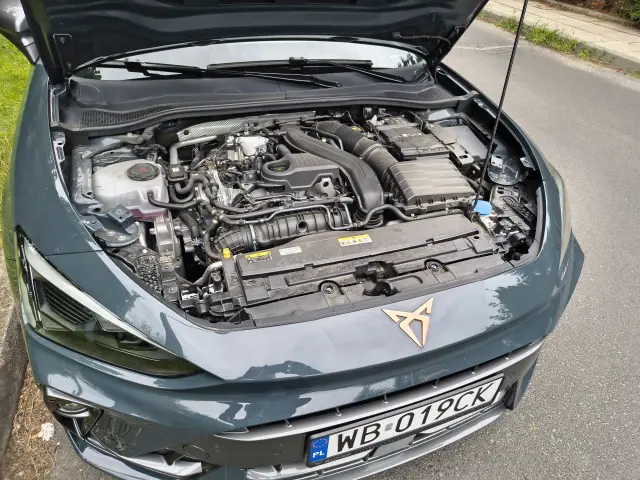 CUPRA CUPRA 
