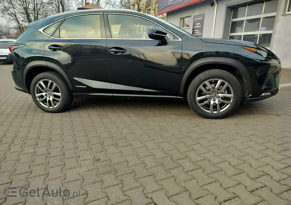 LEXUS NX 300h Business Edition AWD