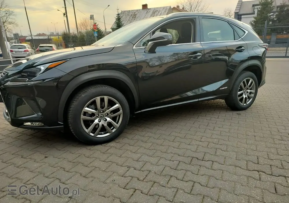 LEXUS NX 300h Business Edition AWD
