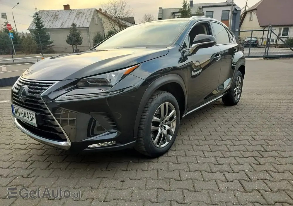 LEXUS NX 300h Business Edition AWD