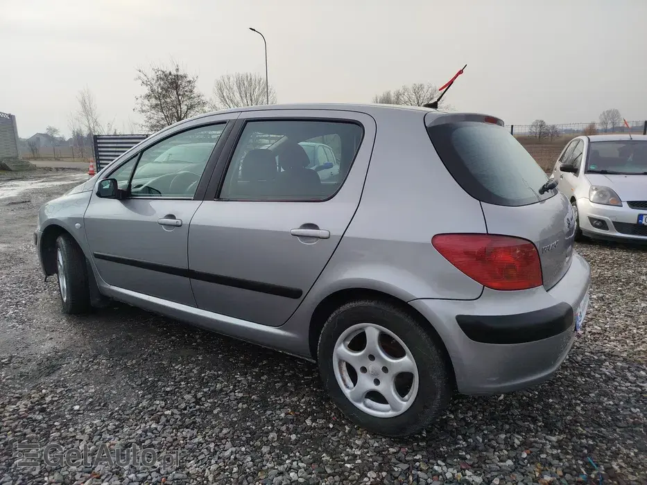 PEUGEOT 307 