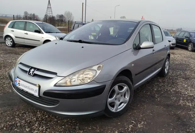 PEUGEOT 307 