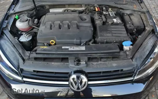 VOLKSWAGEN Golf VII 1.6 TDI BMT Trendline