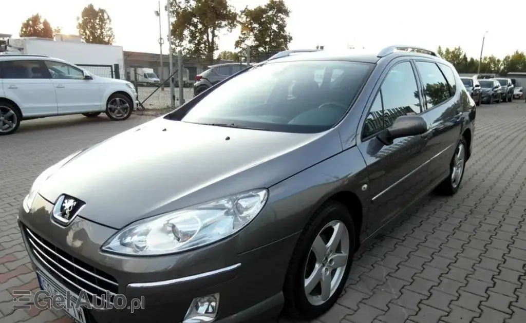 PEUGEOT 407 