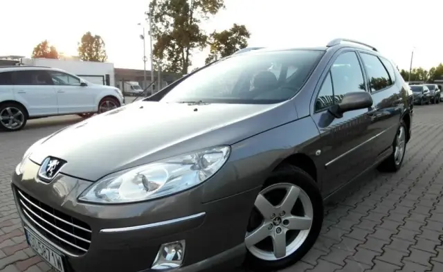 PEUGEOT 407 