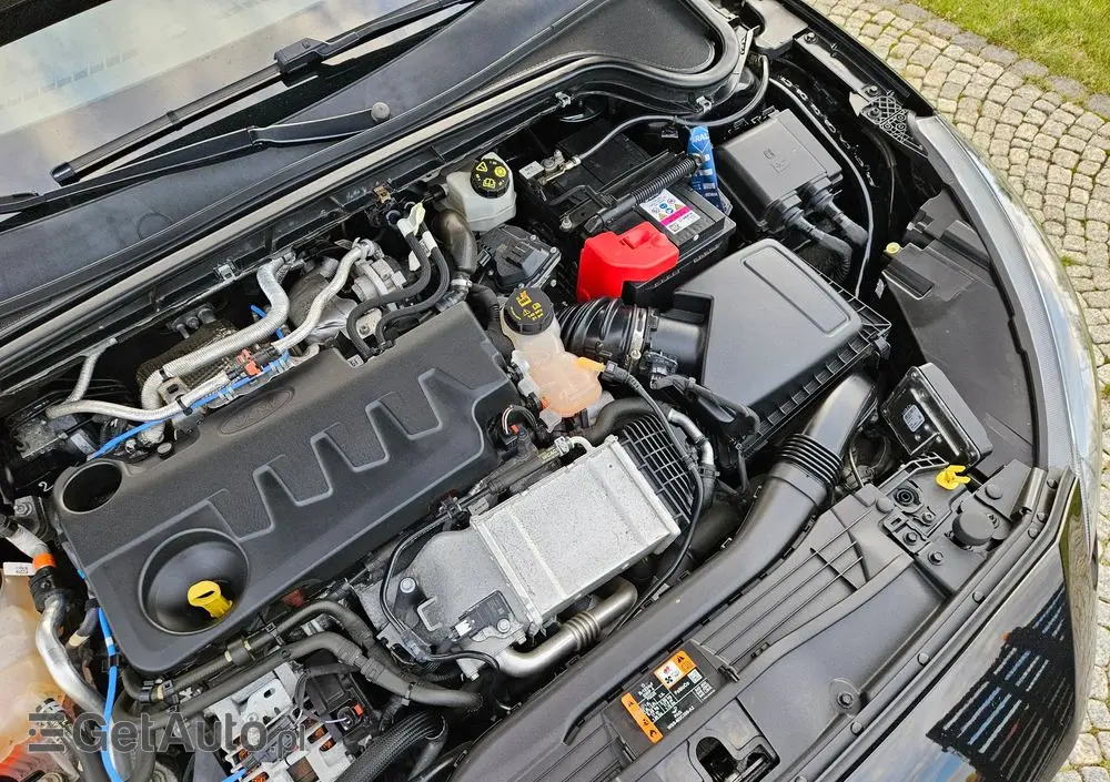 FORD Focus 2.0 EcoBlue Titanium X