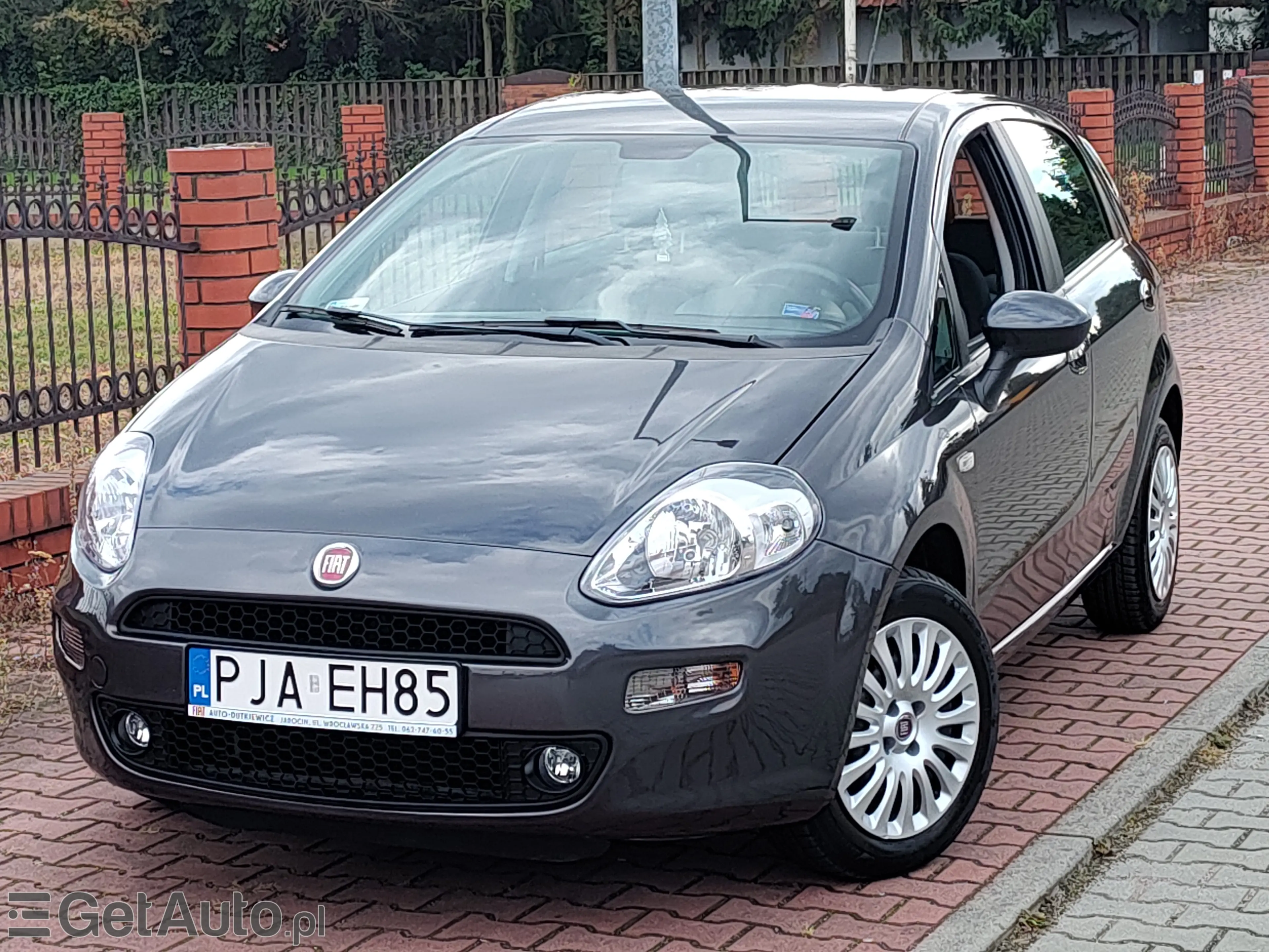 FIAT Punto Active