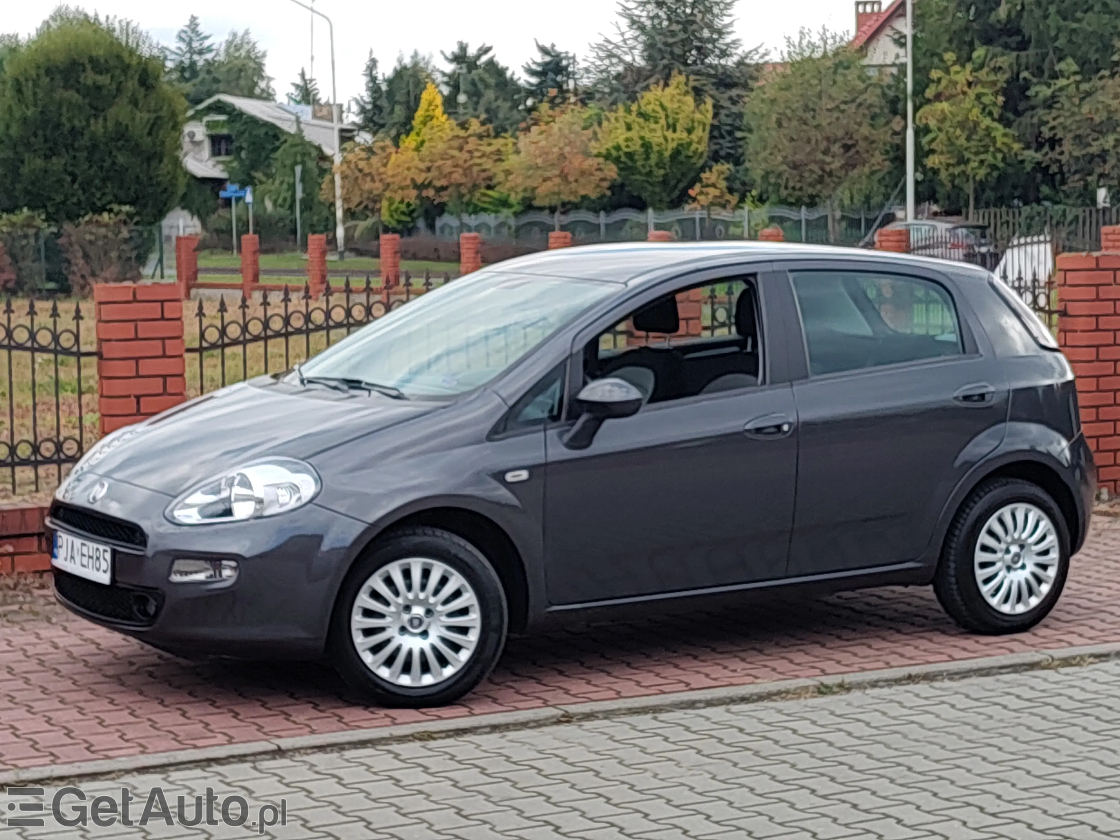 FIAT Punto Active