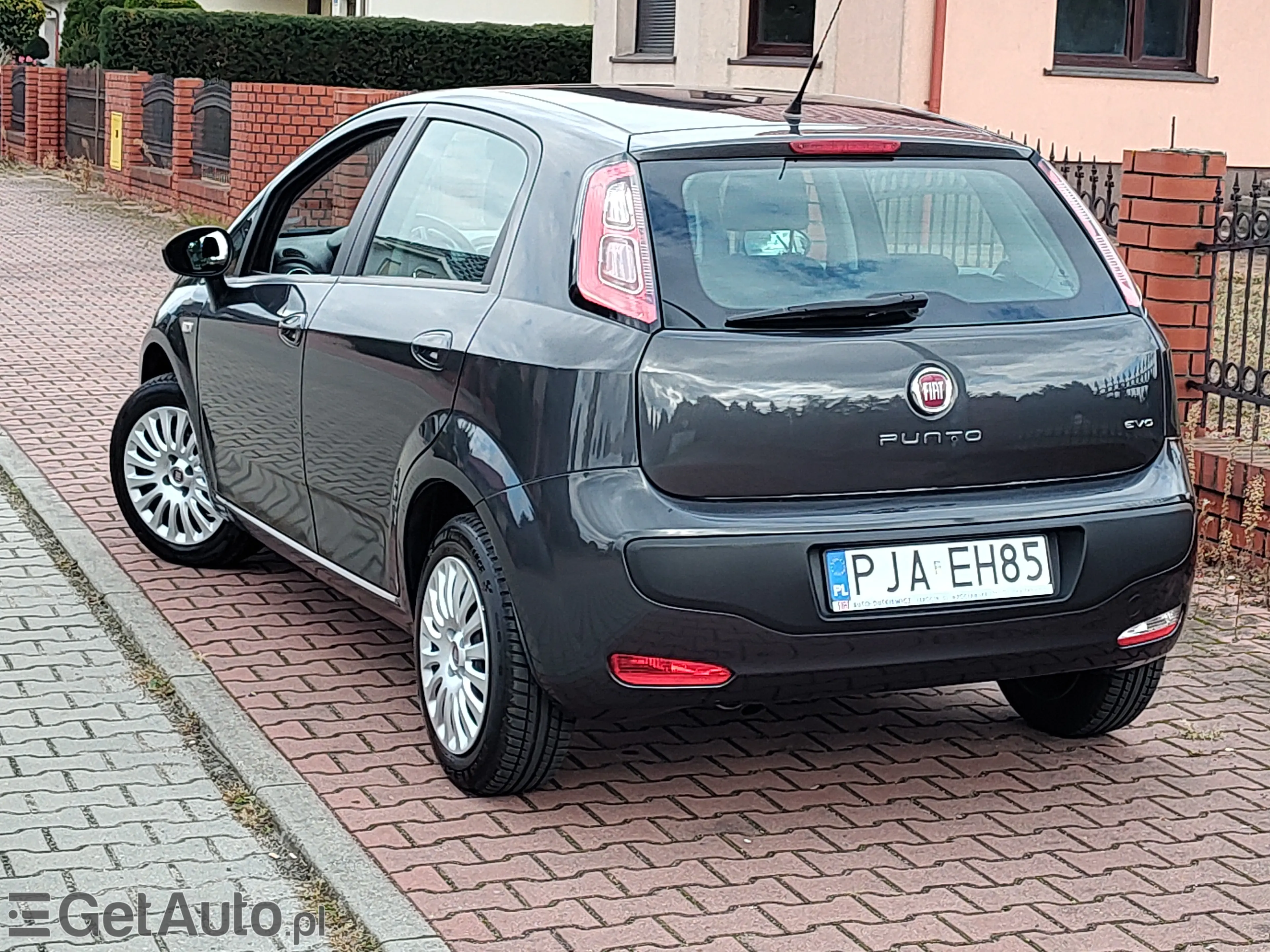 FIAT Punto Active