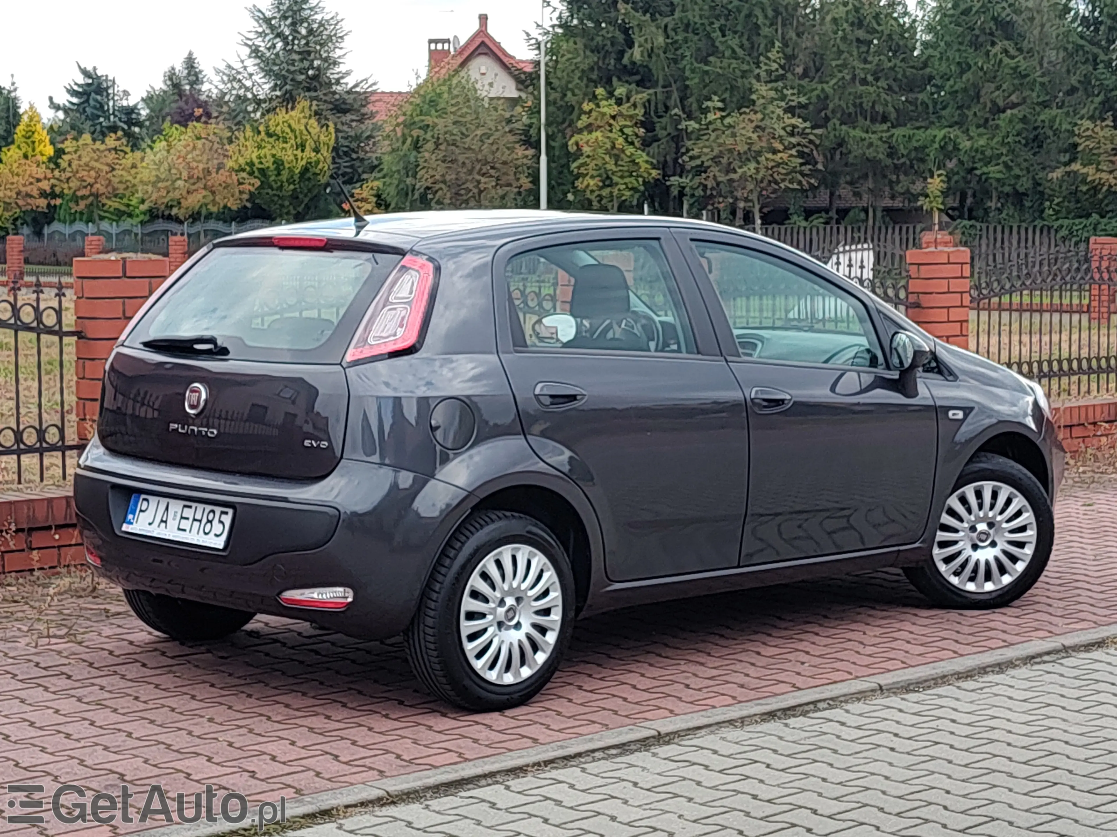 FIAT Punto Active