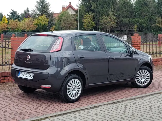 FIAT Punto Active