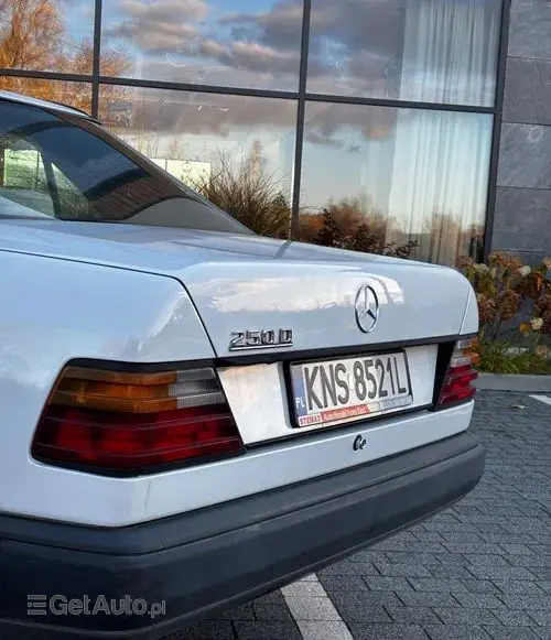 MERCEDES-BENZ 250 