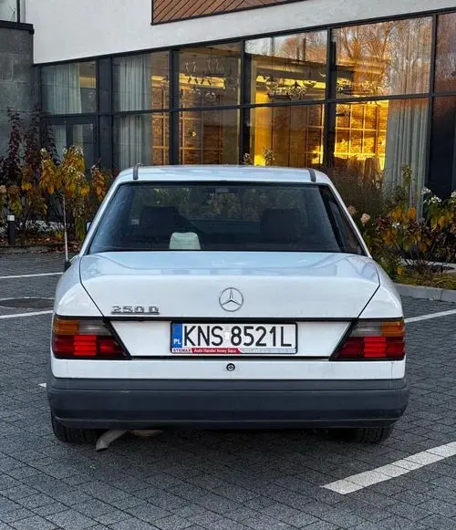 MERCEDES-BENZ 250 