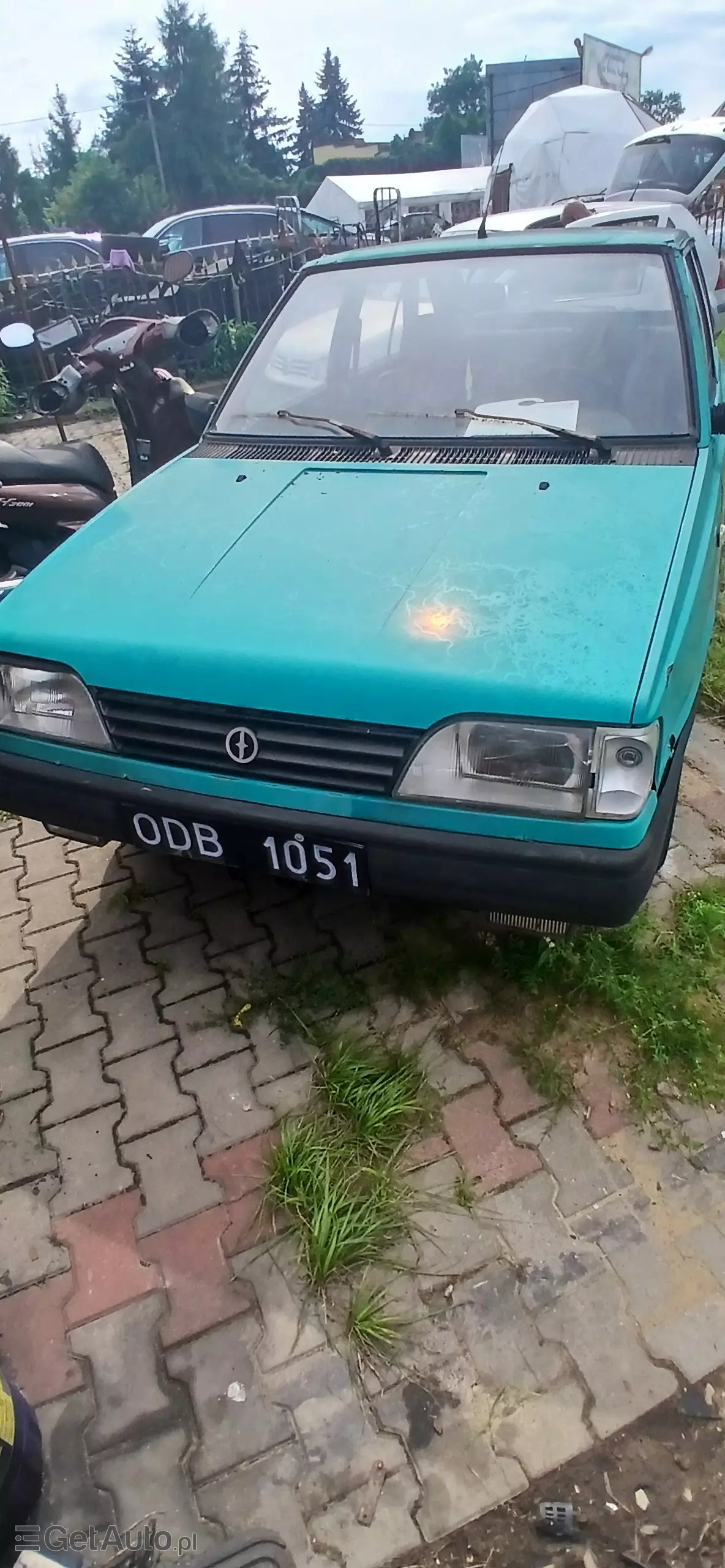 POLONEZ Polonez Caro 