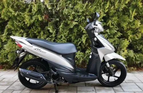 SUZUKI Adress 