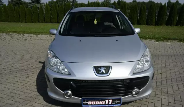 PEUGEOT 307 