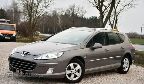 PEUGEOT 407 
