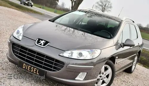 PEUGEOT 407 