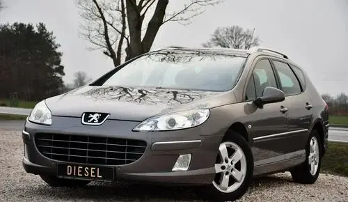 PEUGEOT 407 