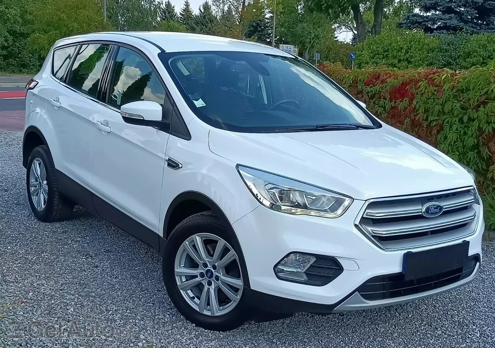 FORD Kuga Edition
