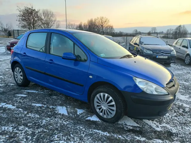 PEUGEOT 307 