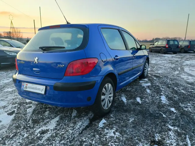 PEUGEOT 307 