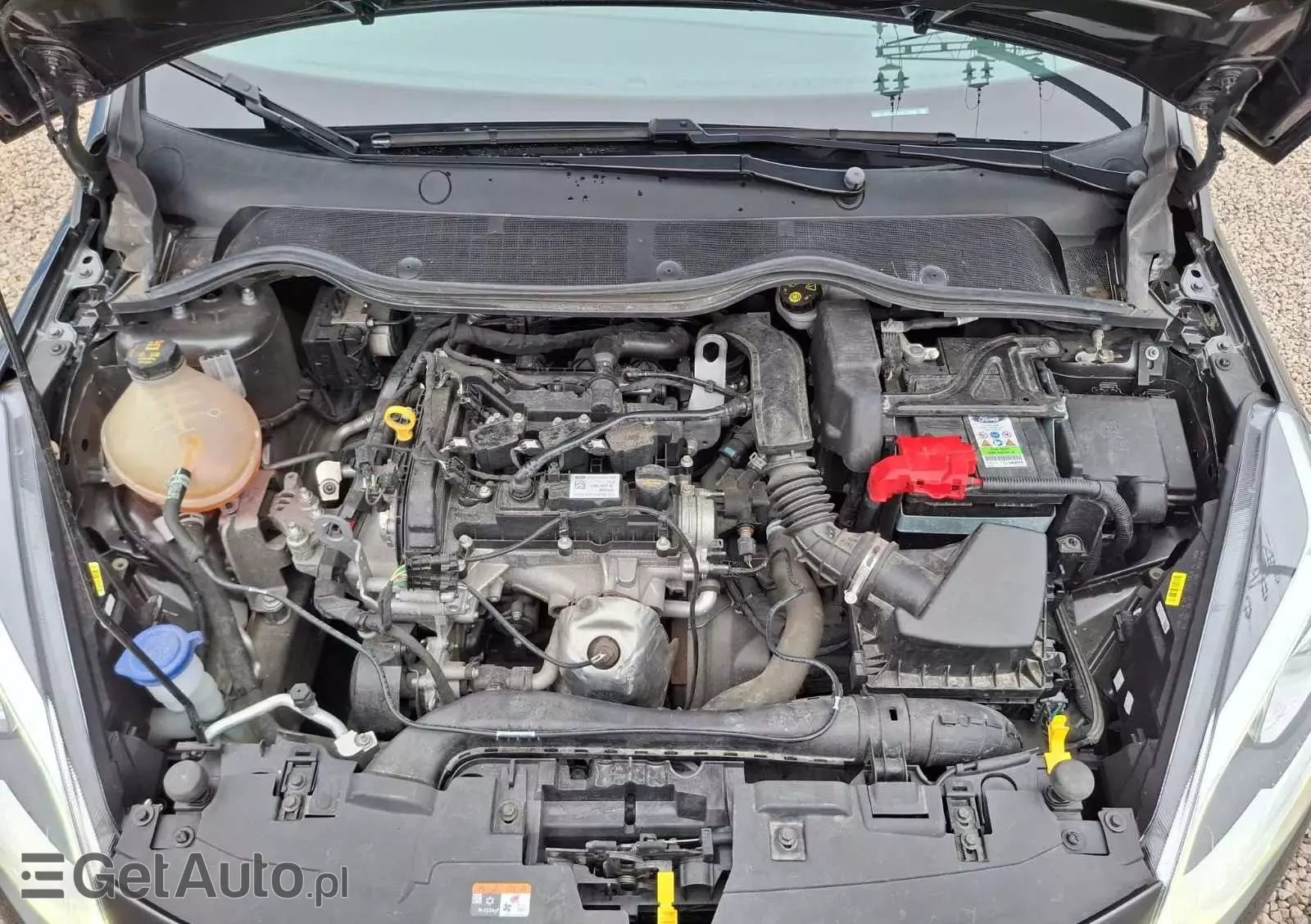 FORD Fiesta 1.1 S&S TREND