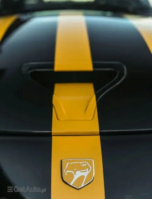 DODGE Viper 