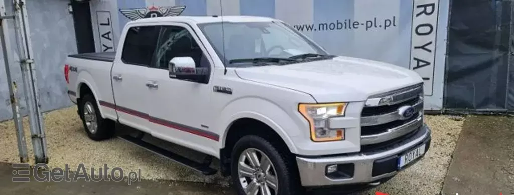 FORD F-Series F-100/F-150 