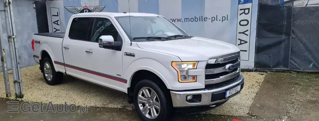 FORD F-Series F-100/F-150 