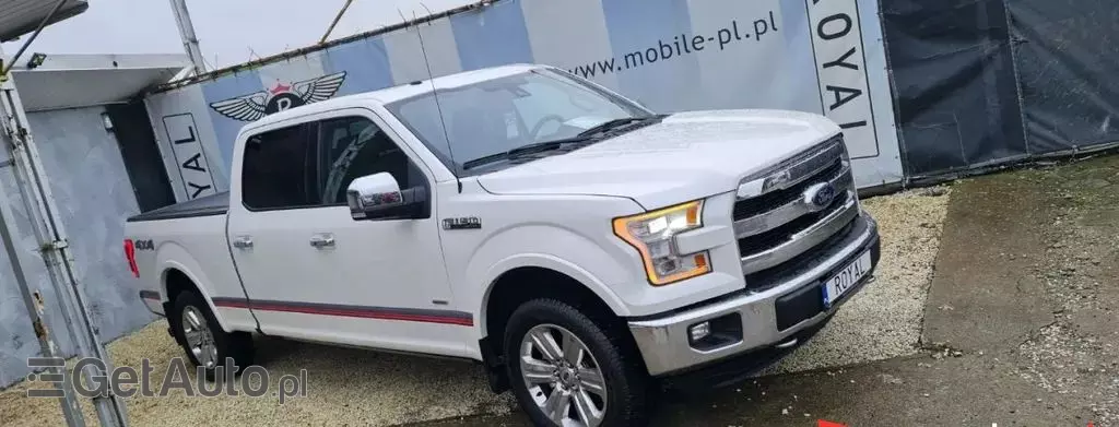 FORD F-Series F-100/F-150 