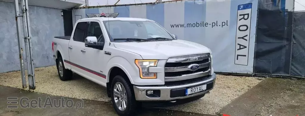 FORD F-Series F-100/F-150 