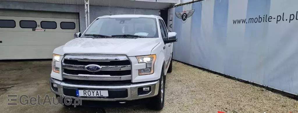 FORD F-Series F-100/F-150 