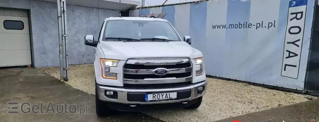 FORD F-Series F-100/F-150 