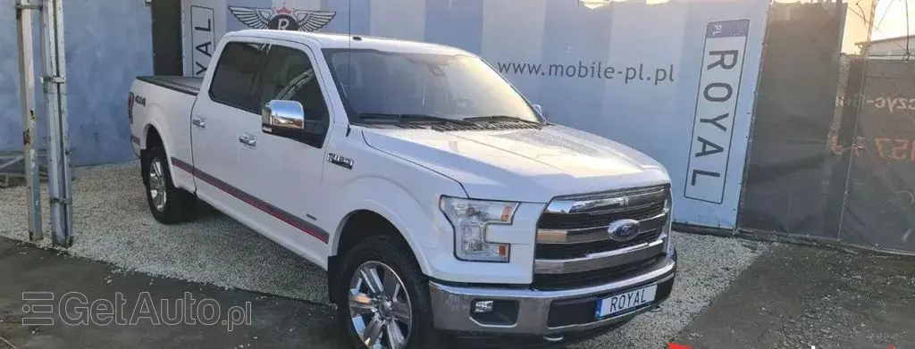 FORD F-Series F-100/F-150 