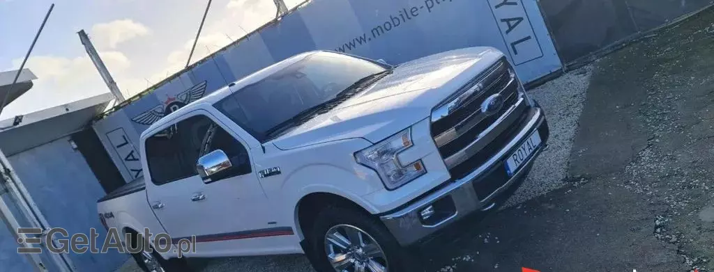 FORD F-Series F-100/F-150 