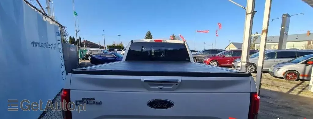 FORD F-Series F-100/F-150 