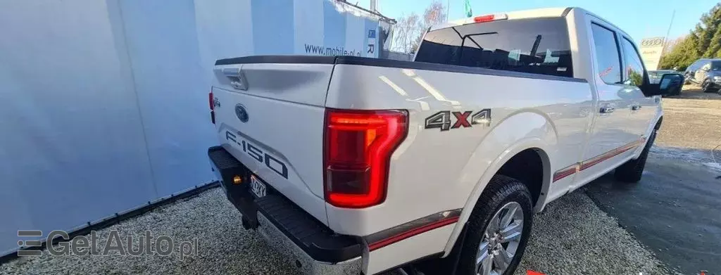 FORD F-Series F-100/F-150 