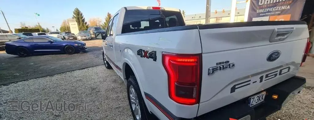 FORD F-Series F-100/F-150 