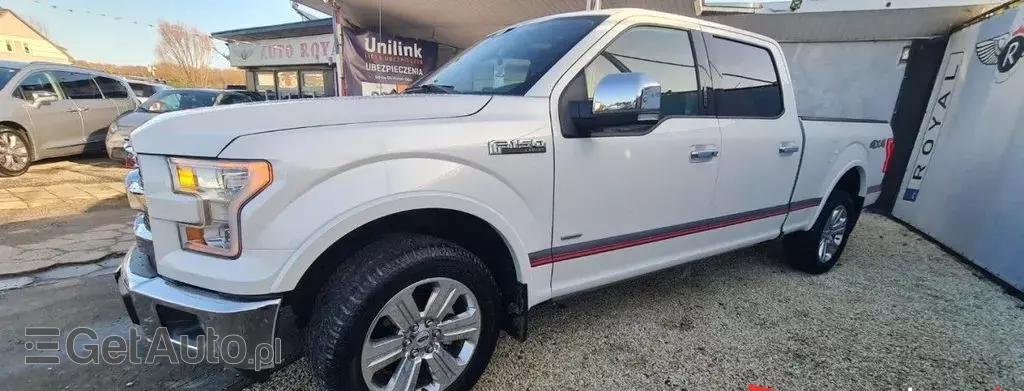 FORD F-Series F-100/F-150 