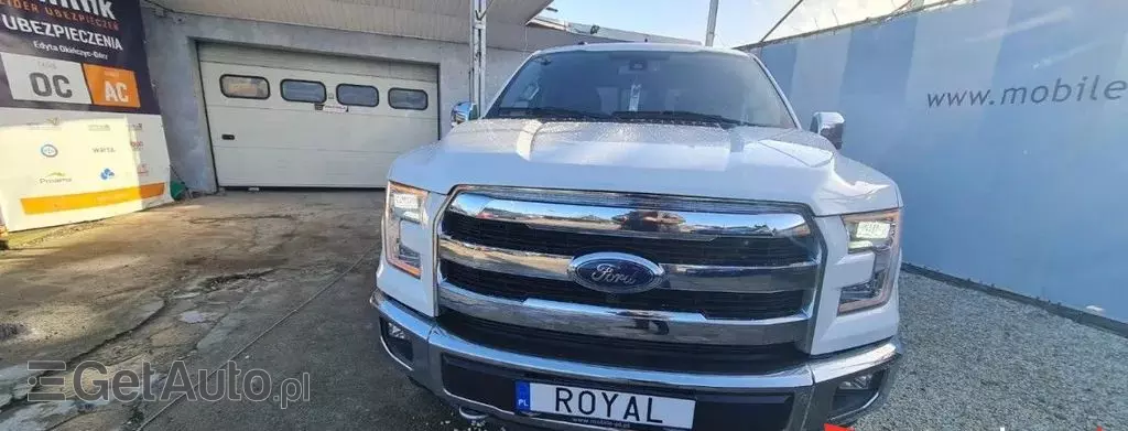 FORD F-Series F-100/F-150 