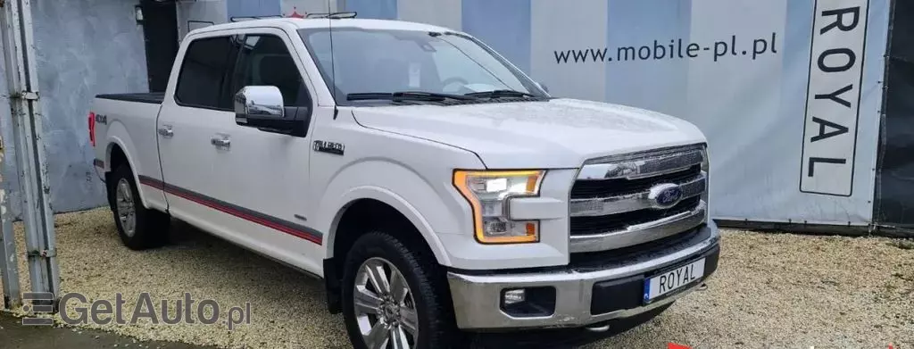 FORD F-Series F-100/F-150 