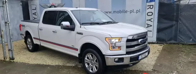 FORD F-Series F-100/F-150 