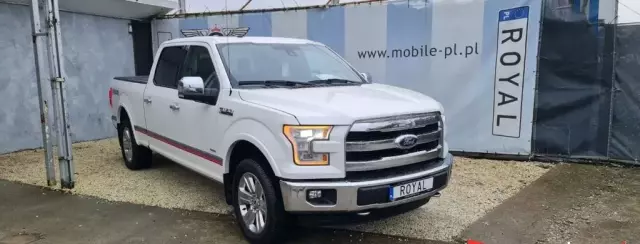 FORD F-Series F-100/F-150 